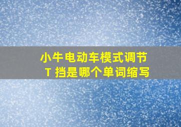 小牛电动车模式调节 T 挡是哪个单词缩写